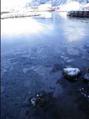 Cod Fishing01